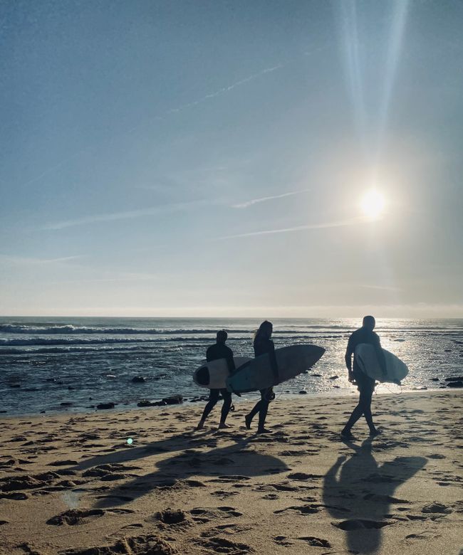 🧘🏾♀️ 🏝 🌊 ☀️