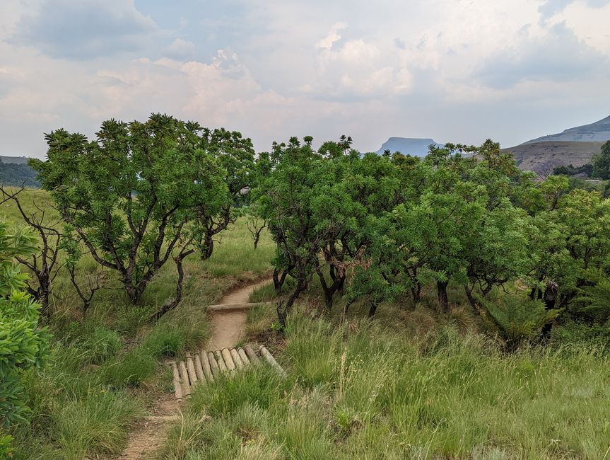 Royal Natal Drakensberg Park