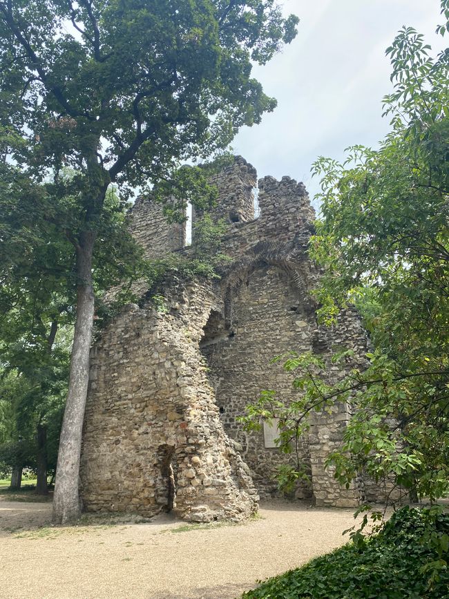 Ruinen eines alten Franziskaner Klosters auf der Margareteninsel