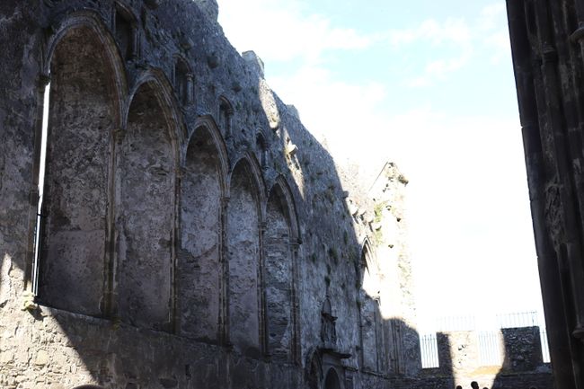 Day 9: Friday 10.08.2018 Kilkenny, Rock of Cashel and the Applefarm