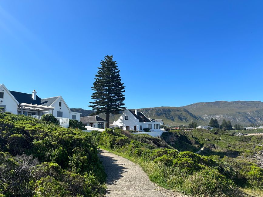 Hermanus ♥️