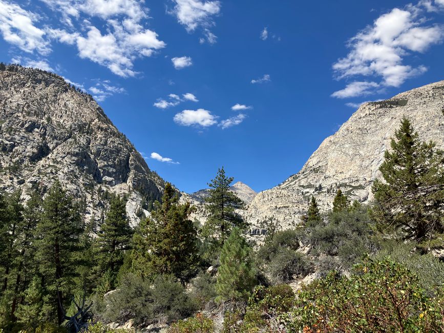 High Sierra Trail Tag 4