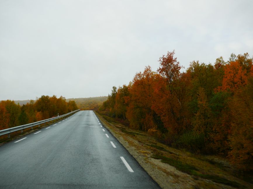 Lapland - from Karasjok Towards the South