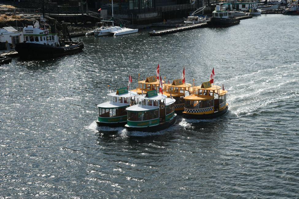 Water Taxis in the Harbor of Victoria