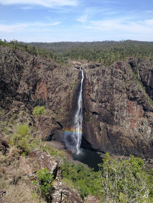 Wallaman Falls with Rainbow