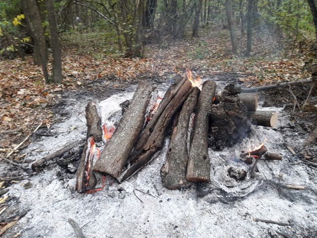 a fire - left alone in the middle of the forest