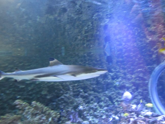 Aquarium Bergen