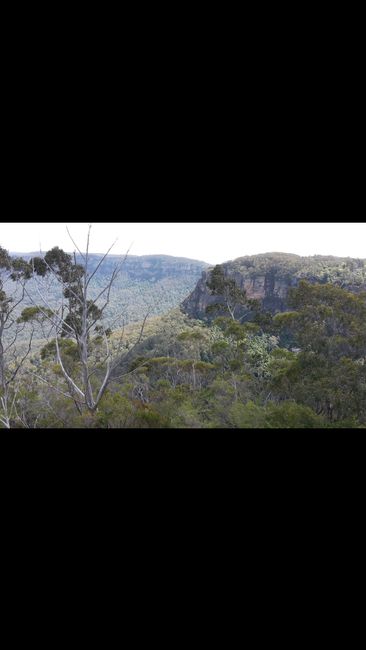 Blue Mountains - Echo Point