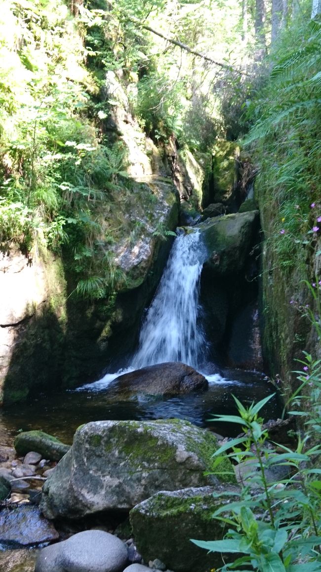 Menzenschwand waterfalls