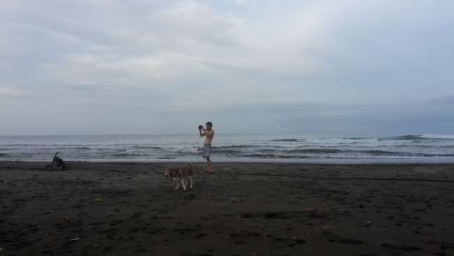 Playa Negra mit den Hunden. 