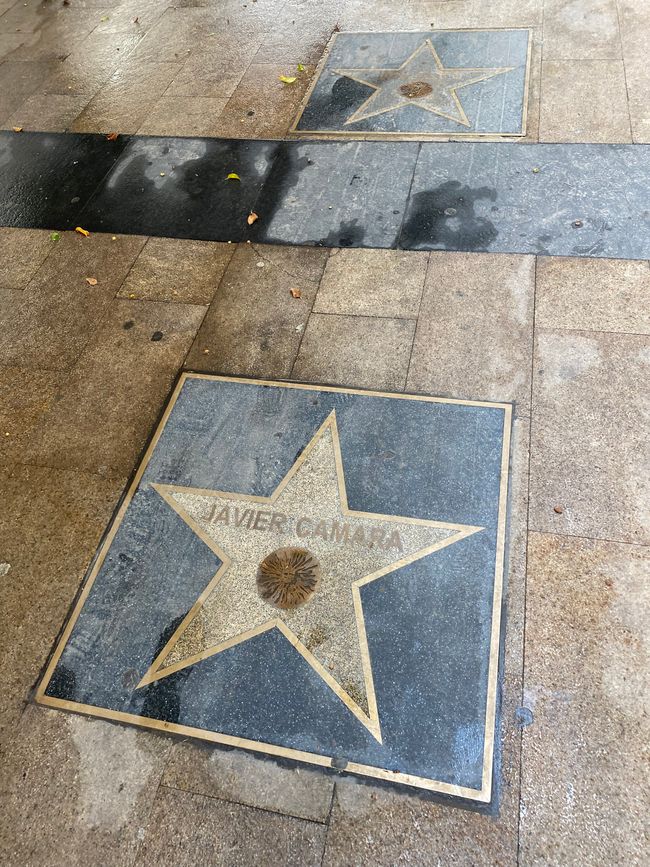 Actor unknown to me, but who has a star on the Almerisches Walk of Fame