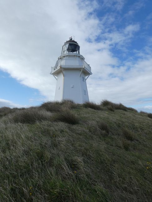 Waipapa Lighthouse 🍃