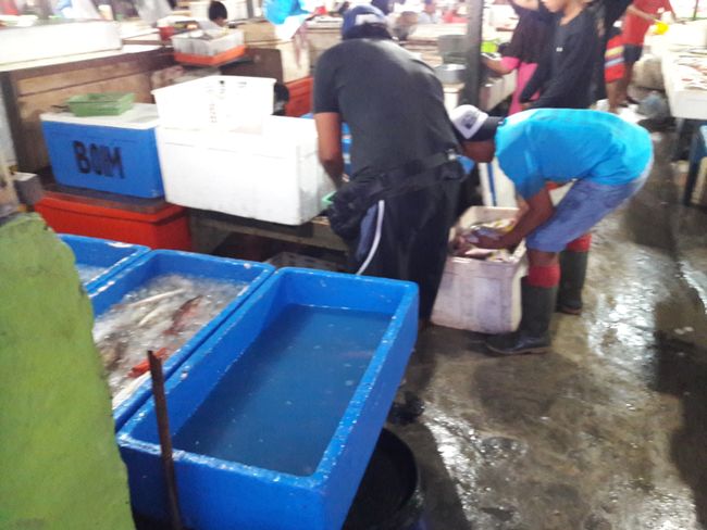Fischmarkt Jimbaran 