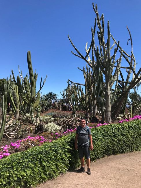 Botanischer Garten von Madeira – Botanik Bahçesi