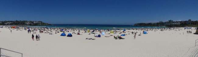 Quite crowded Bondi Beach