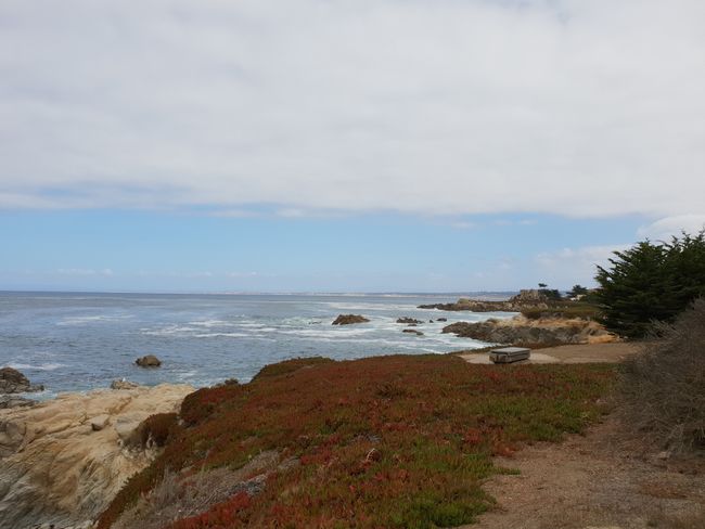 Monterey နှင့် 17-Mile-Drive တွင် ဝေလငါးကြည့်ရှုခြင်း။