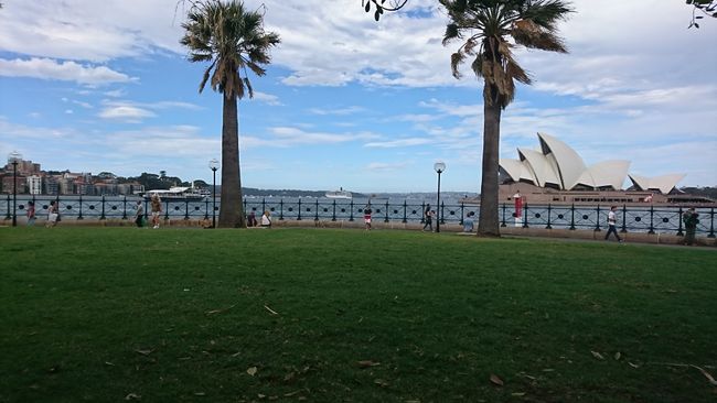 悉尼 - 第二天，海港遊船