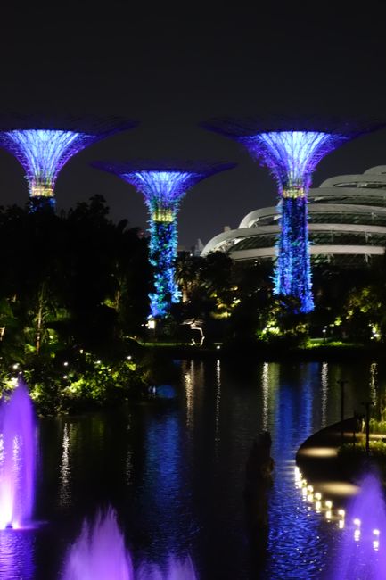 Supertrees / Gardens by the Bay
