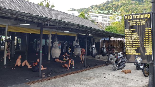 19.02. Thai Boxing School