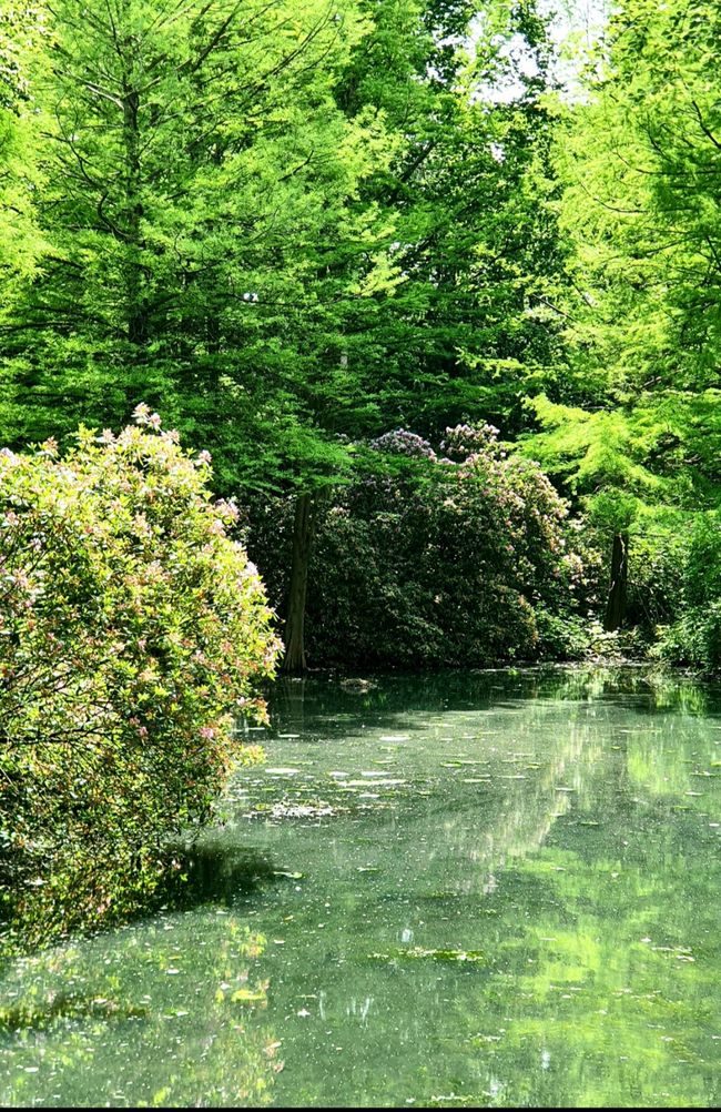 Die kleinen Seen erinnern an die Bilder von Monet