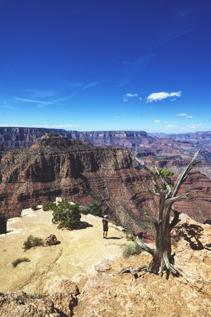 Tag 249: Grand-Canyon-Nationalpark