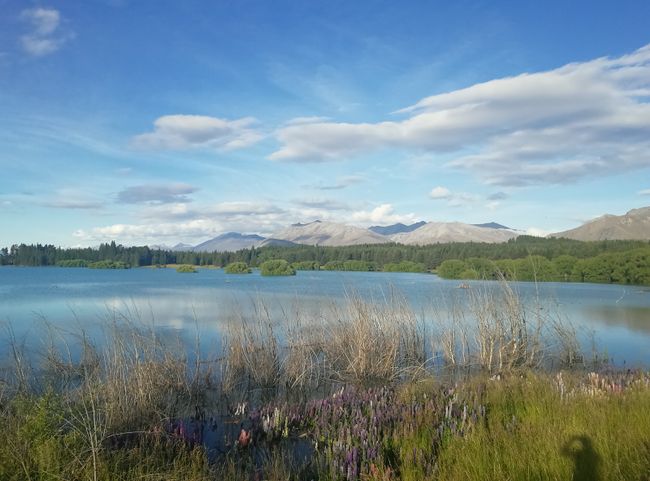 Lake Tekapo 1