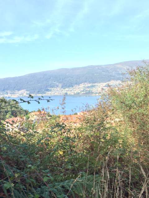View of the Vigo Bay 