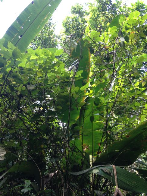 Costa Rica vacation