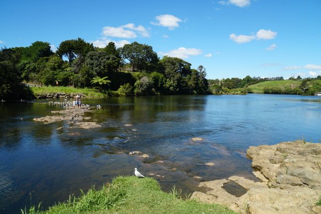 Kerikeri - 'the life is good in a boat house'