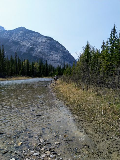 Banff - Trails