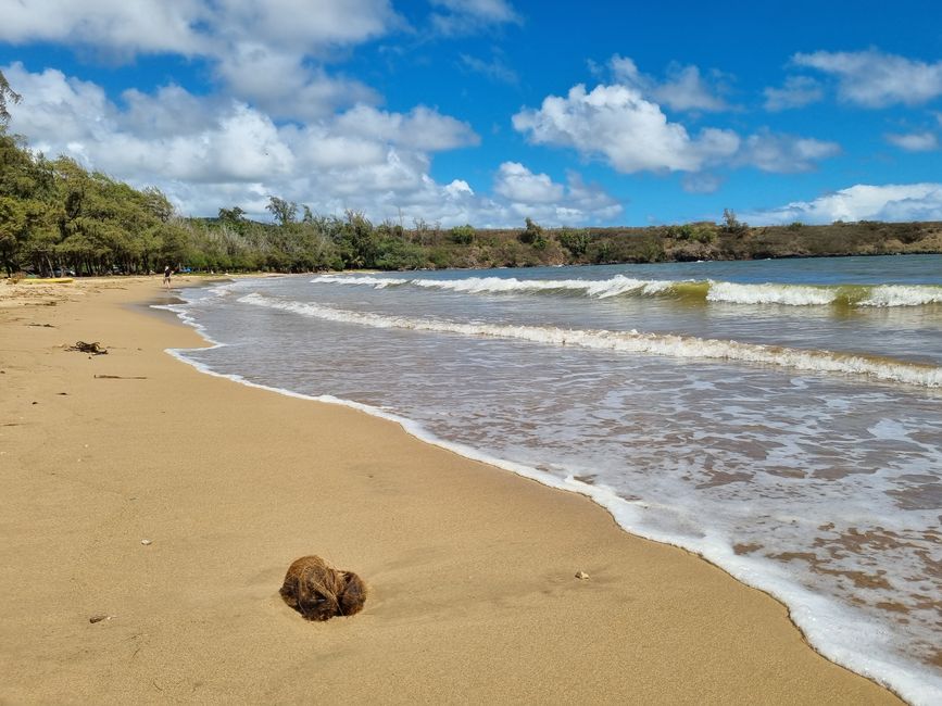 Hawaii 2022 - Teil 2: Kauai