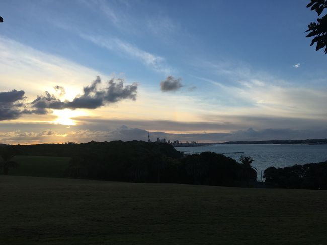 Blick über Auckland