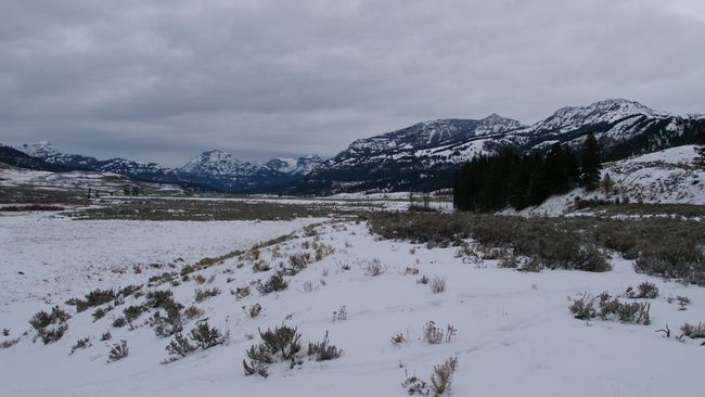 01/11/2019 bis 03/11/2019 - Spokane → Yellowstone Nationalpark → Billings / USA (1.321 Kilometer)