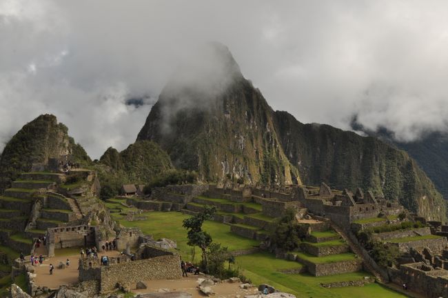 Der schüchterne Wayna Picchu traut sich immer mehr hervor