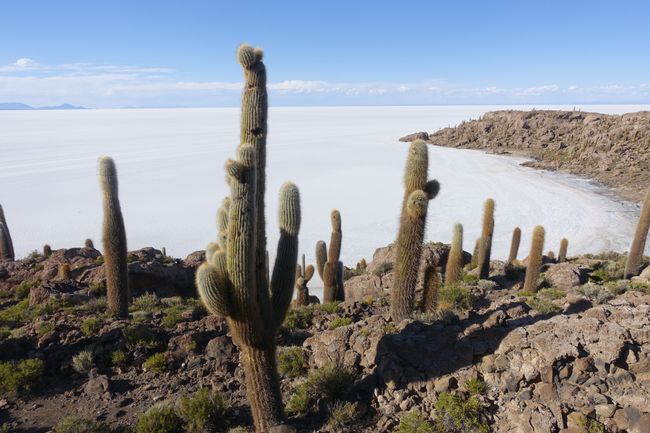 Die Insel „Incahuazu“ inmitten des Meers aus Salz