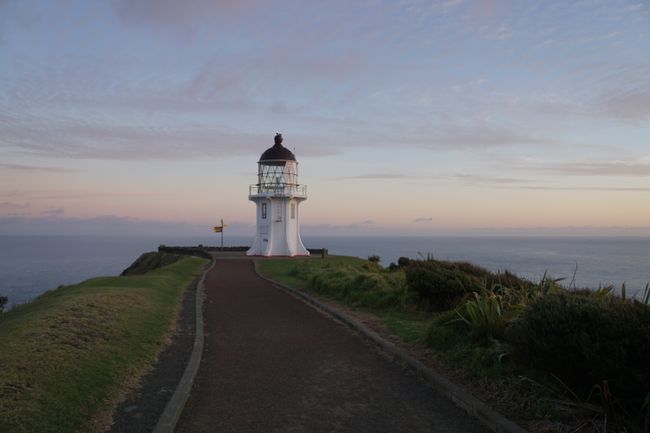 A trip to the far north - Northland and Cape Reinga