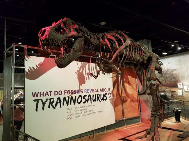 Impresiones del Museo Nacional de Historia Natural (incl. Diamante Hope)