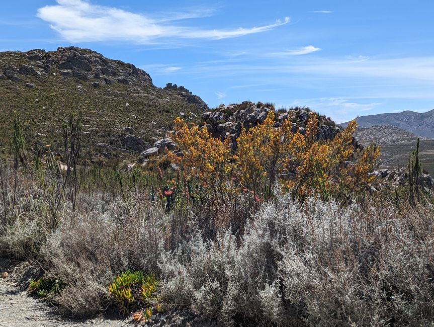 Oudtshoorn, Swartbergpass & Prince Albert