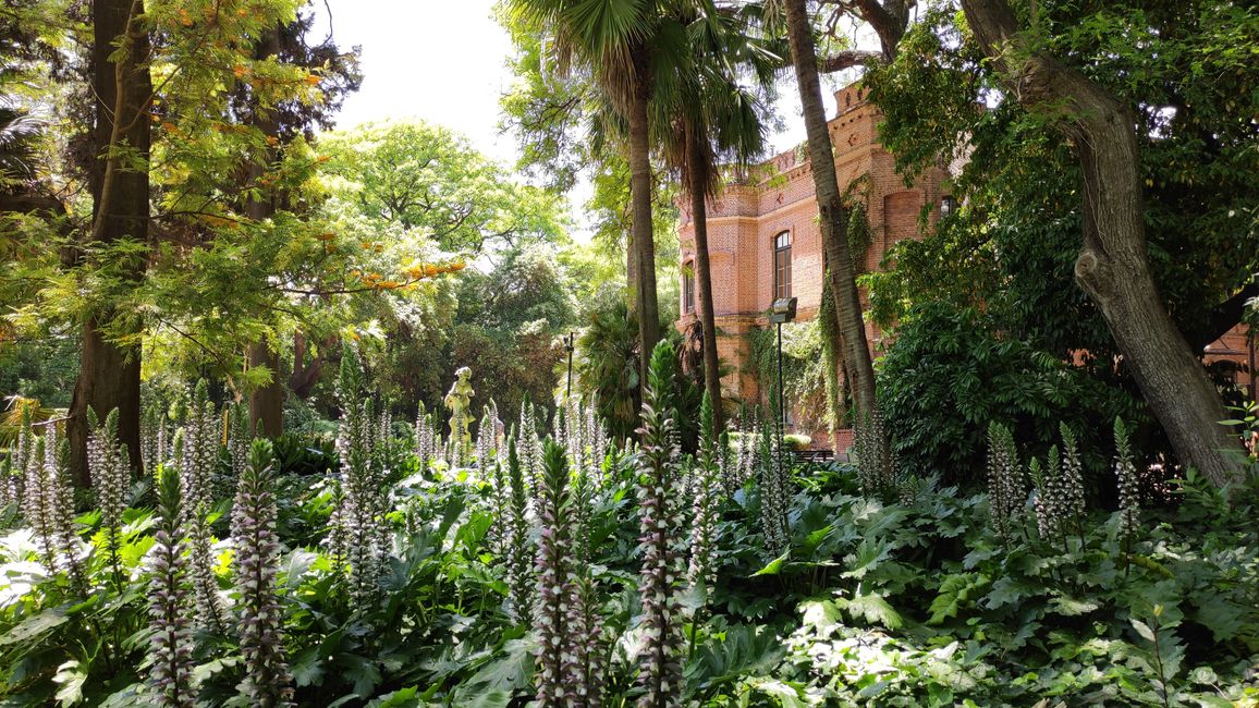Botanical Garden (15.11.)