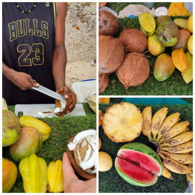 Seychelles 2023 - Part 2: Praslin