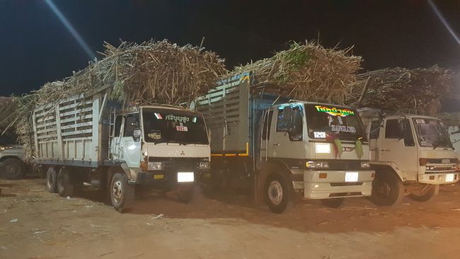 Sartra's aunt had a sugar factory, where we went to pick up her husband. There were surely 100 trucks with sugarcane on the premises! Unbelievable! 