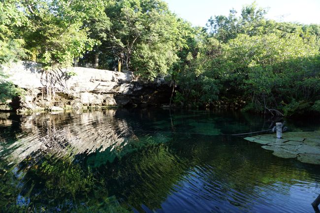 Mexico - Excursion to Cenotes - Part 1