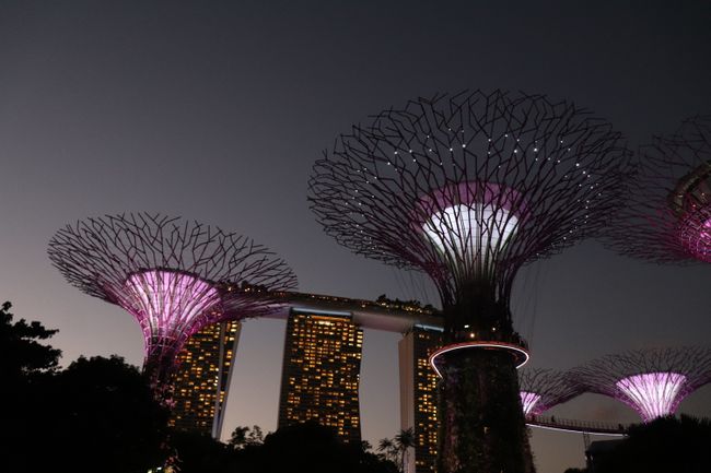 Super Trees in Gardens by the Bay