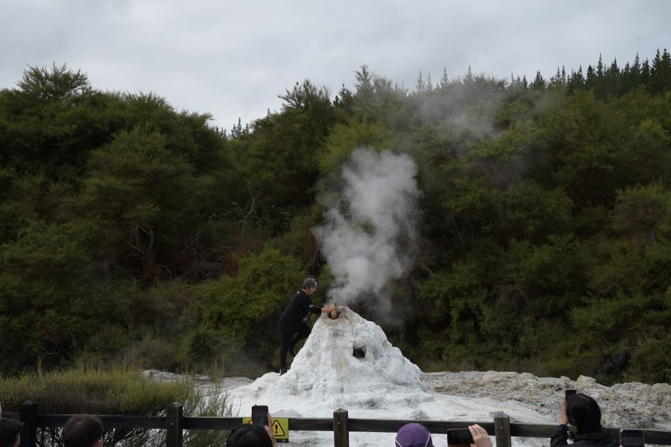 Thermalgebiet Wai-o-tapu - Lady Knox Geysir: Etwas Seife rein, etwas warten, und ...