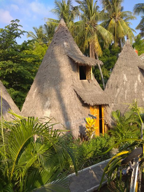 Fantastic Bamboo huts hostel