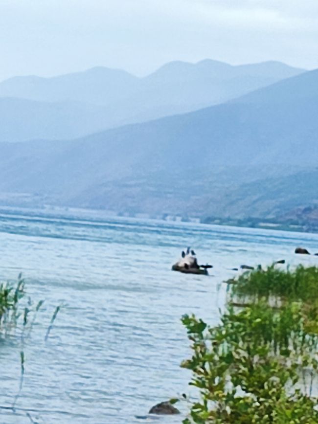 Ein bisschen Heimatgefühl: Lin / Ohridsee / Albanien