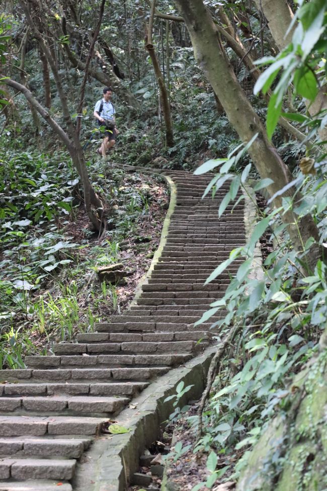 1,000,000 Steps Hike on the Elephant Mountain Trail