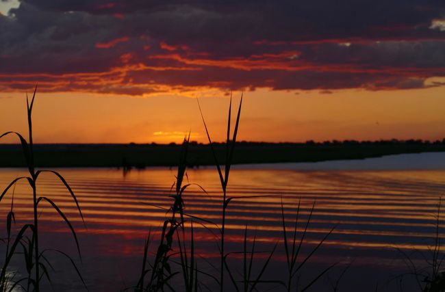 Traum Sonnenuntergang am Chobe River