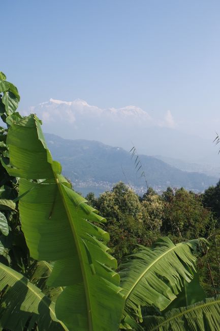 Pokhara in color