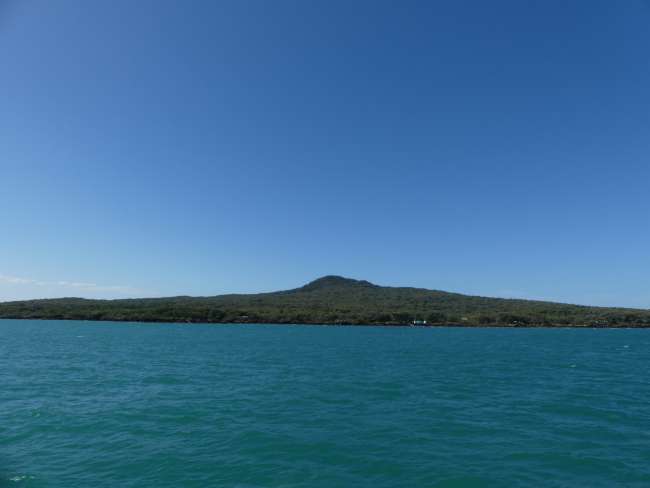 View of Rangitoto Island on the return ferry ride